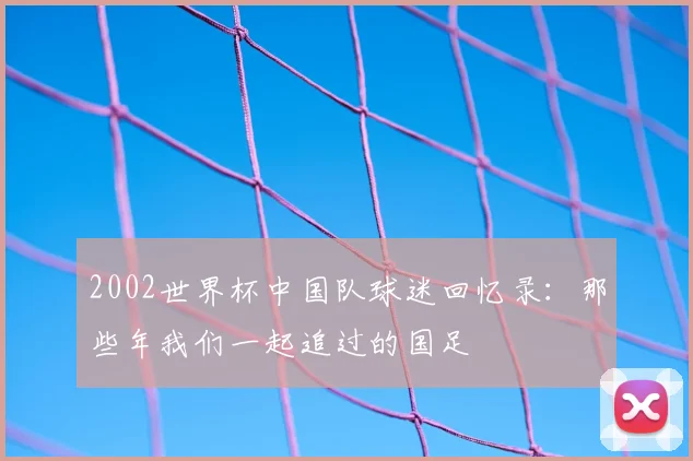 2002世界杯中国队球迷回忆录：那些年我们一起追过的国足