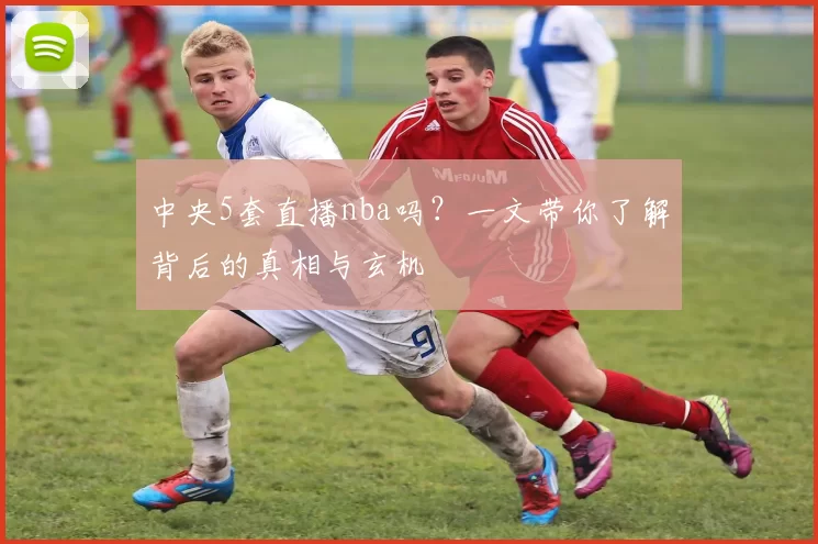 中央5套直播nba吗？一文带你了解背后的真相与玄机
